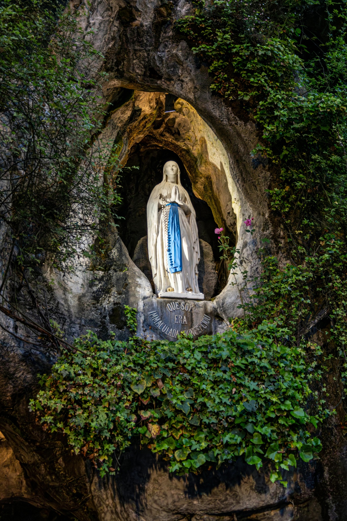 Lourdes & Sacred France